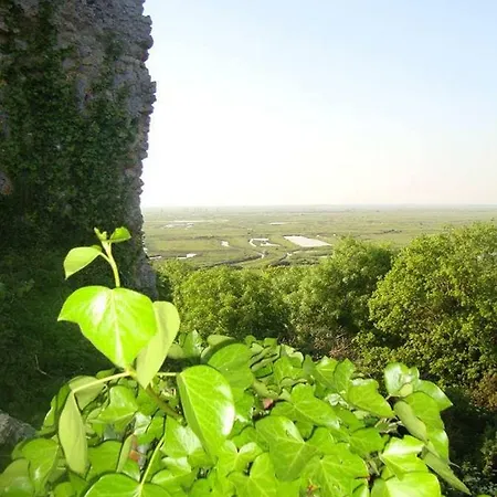La Dorrea *