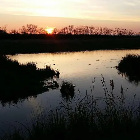 La Dorrea *