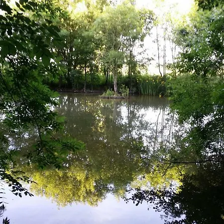 La Dorrea La-Gripperie-Saint-Symphorien